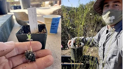 A New Era of Plant Conservation at the San Diego B...