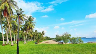 Exploring Pasir Ris Park | What To Do In Pasir Ris Park Singapore? Exploring Pasir Ris Park | What To Do In Pasir Ris Park Singapore?