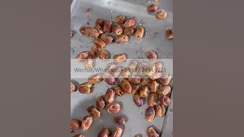 Farm Use Automatic Palm Dates Red Jujube Dates Seed Removing Date Seeds Pitting Machine