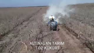 Altınalan Tarım Toz Kükürt Uygulaması Adanaceyhan Erenler Papak Köyü Nar Çetin Tarım Hünerli Tarım