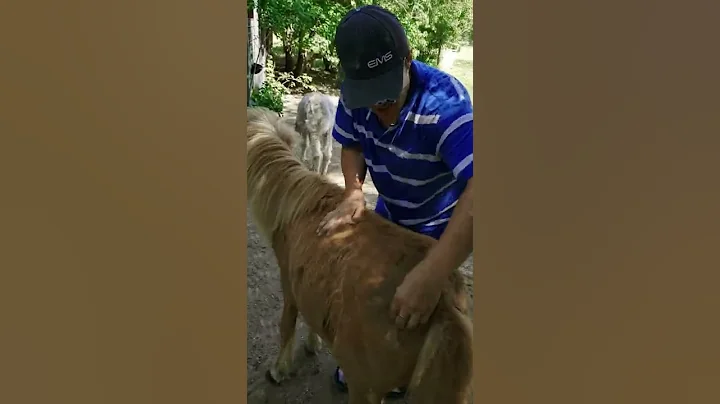 Love living at the zoo