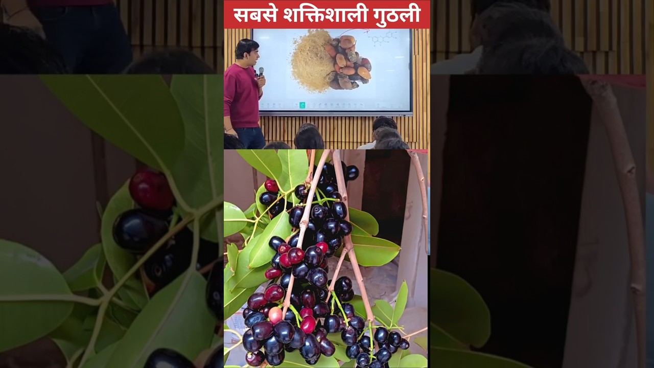 ये गुठली खाकर आप शक्तिशाली बन सकते हैं 💪🔥 | Vedant Sir Homemade Healthy Tips | #shorts#trending