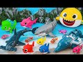Toy asmr 🐟 Glowing Aquarium Playset & Robo Fish ASMR Satisfying with Unboxing | Review Toys
