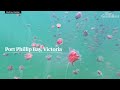Photographer captures footage of thousands of jellyfish in Port Phillip Bay