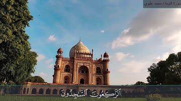 سورة التوبة | محمد عليوي| التائبون العابدون الحامدون