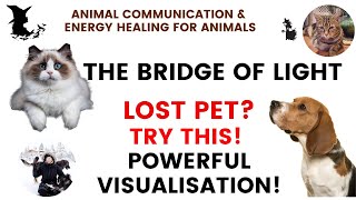 Lost pet? Try this ! Powerful visualization to bring your pet home! #animalcommunication #lostpet