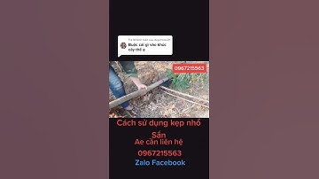 Dụng cụ nhổ Sắn #Shorts