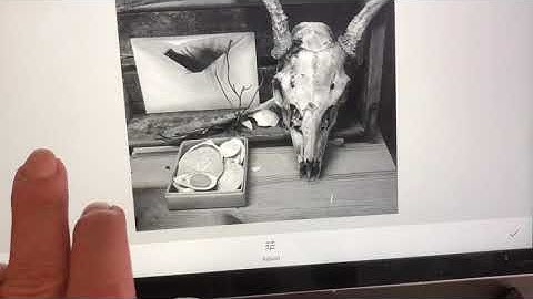 Basic Photo Editing with Snapseed