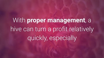 How To Start Beekeeping In 2020 ( Real Beekeeper)