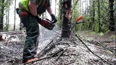 Split Level Cut Felling NPTC CS31