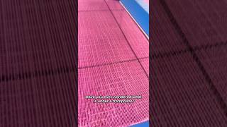 What is under a trampoline!😳 #shorts #fypシ゚viral #reality #trampoline #crazy