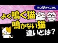 よく鳴く猫とあまり鳴かない猫は何が違うの?理由を解説