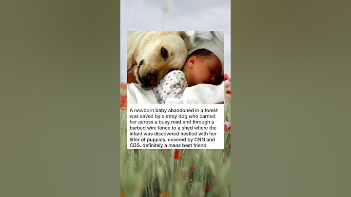 Thanks to him, this baby was saved, this dog is a hero ❤️