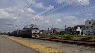 貨物列車 5094レ EF66-30 2016/09/02 清洲駅