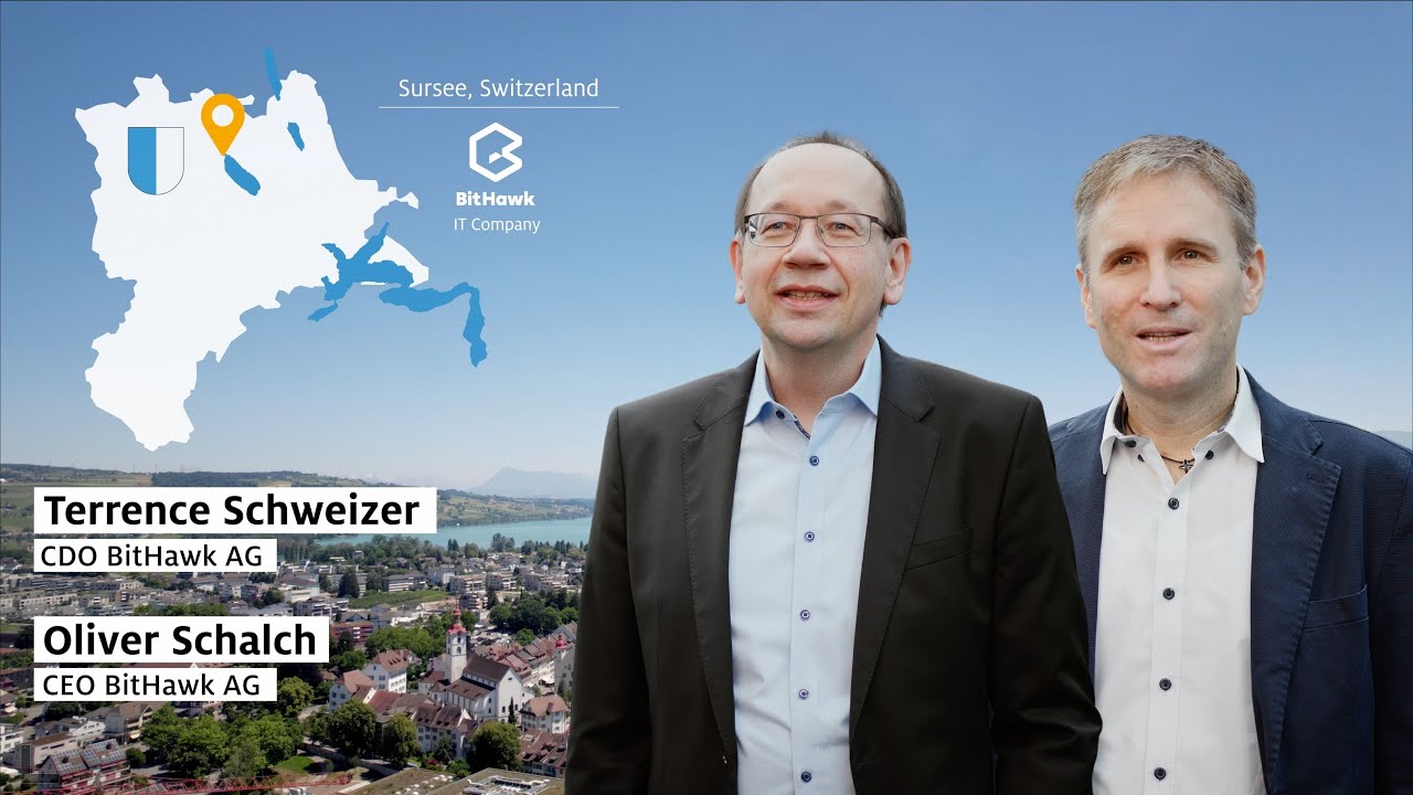 BitHawk – innovative IT services