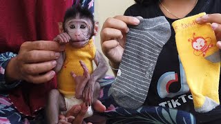 Cara Membuat Baju Monyet Ekor Panjang Paling Mudah dan Murah