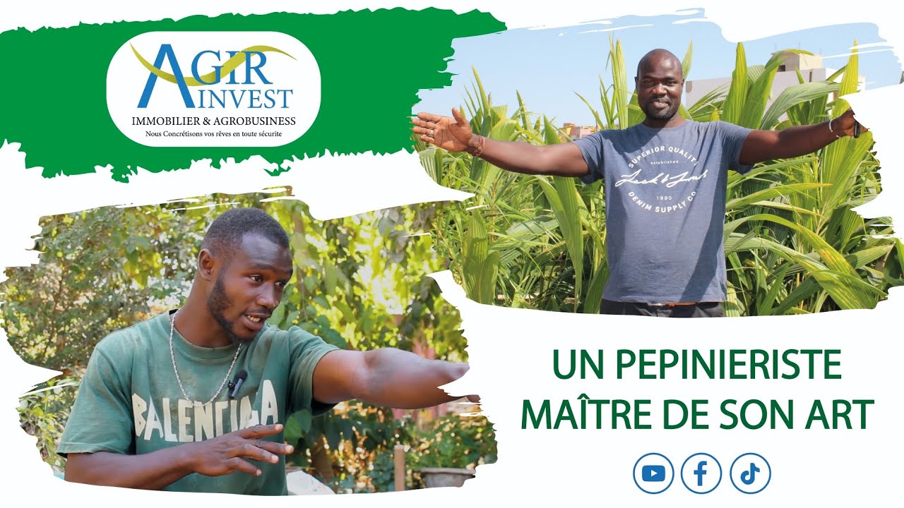 Visite d'une pépinière d'arbres fruitiers: citronniers, avocatiers,cocotiers....