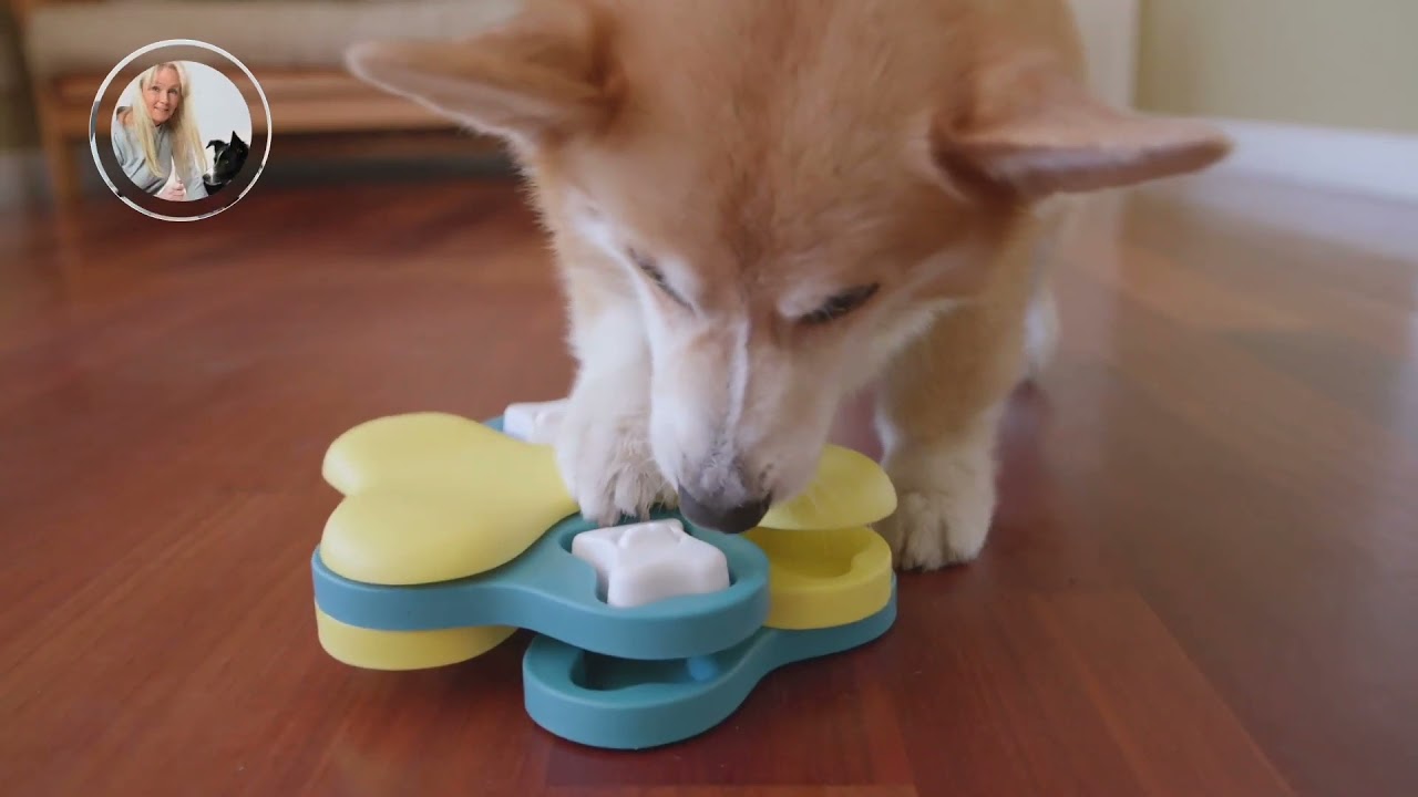TD Dog Tornado Nina Ottosson Treat Puzzle Toy