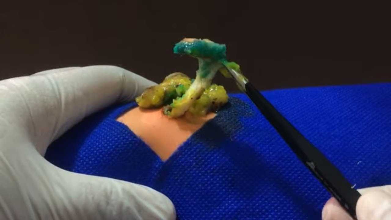 Underwater World Fish Swimming In Aquarium, Relaxation Calming Music, 4K VIDEO ULTRA HD, Ur