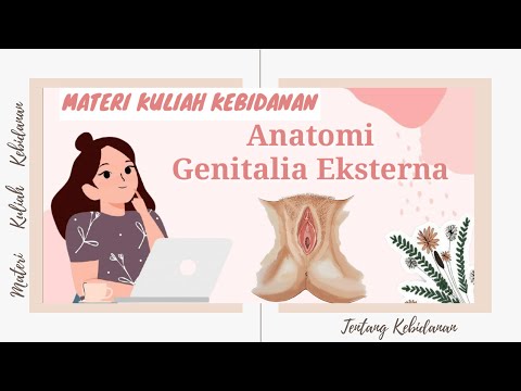 Kebidanan: Anatomi Genitalia Eksterna || Organ Reproduksi Wanita || Midwifery