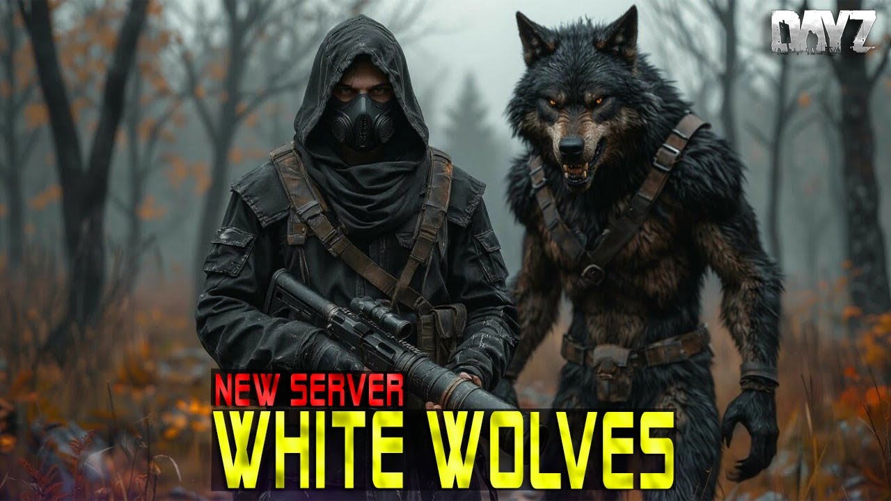 DAYZ PVE | СЕТ за PROMO | White Wolves | ОБЗОР СЕРВЕРА | ПРОХОДИМ КВЕСТЫ🧟 