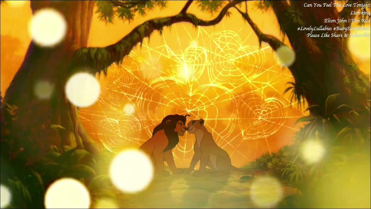 Can You Feel The Love Tonight Music Box Cover Disney Lion king Elton John 愛を感じて ライオン・キング Lullabies🎵 Can You Feel The Love Tonight Music Box Cover Disney Lion king Elton John 愛を感じて ライオン・キング Lullabies🎵