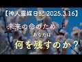 【神人靈媒日記 2025.3.16】亡き母との対話/これからのこと