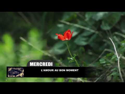 Leçon 6 Mercredi 8 Mai 2019 Lamour Au Bon Moment