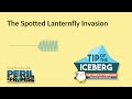 Individual Action Isn't the Only Spotted Lanternfly Solution