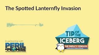 Individual Action Isn't the Only Spotted Lanternfly Solution