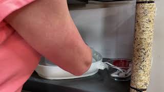 Incubator humidity control with “the shoe string method”