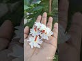 মিজানুর রহমান আজহারী নতুন ওয়াজ #highlight #highlightreel