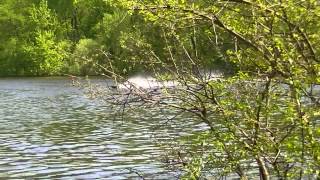 Proboat Thundercat Brushless conversion finally hits the water!