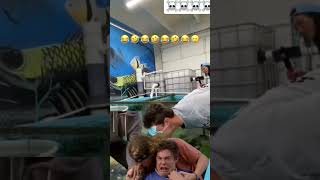 Fish hits guy and knock him out #viral #Fish #Knockout #funnyvideo