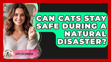Can Cats Stay Safe During A Natural Disaster? - Happy Cat Handbook