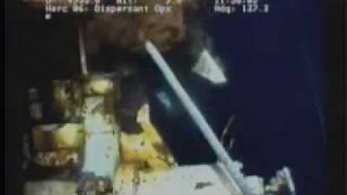 Sea creatures flee BP gulf oil spill, gather near shore