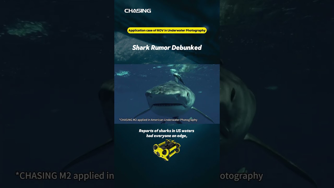 Shark Rumor Debunked - CHASING UNDERWATER DRONE -