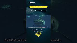 Shark Rumor Debunked - CHASING UNDERWATER DRONE -
How wild can rumors get? Reports of sharks in US waters had everyone on edge, but an adventurer dives CHASING M2 deep and searched the fish schools thoroughly. The truth? Those sharks were actually dolphins!
M2 S: https://www.chasing.com/chasing-m2s.html
M2 PRO: https://www.chasing.com/chasing-m2pro.html
M2 PRO MAX: https://www.chasing.com/chasing-m2pro-max.html
Dory: https://www.chasing.com/chasing-dory.html
MINI S: https://www.chasing.com/mini-s.html
F1 Pro: https://www.chasing.com/chasing-f1-pro.html
CF1: https://www.chasing.com/chasing-canfish-cf1.html
Join our Official CHASING UNDERWATER DRONES Owners Group
https://www.facebook.com/groups/CHASINGUsersGroup/
Like us on Facebook: https://www.facebook.com/chasingunderwaterdrones
Follow us on Instagram:
https://www.instagram.com/chasing_underwater_drones
Follow us on Twitter:
https://twitter.com/chasingdrones
To learn more about us, visit our website:
https://chasing.com/
#underwaterdrone #chasing #ROV Shark Rumor Debunked - CHASING UNDERWATER DRONE -