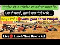 Live full jankari vala live dekho bakria kolo lunch time  goat farming sonugoatfarmpunjab3478