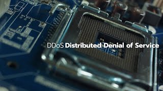 What is a DDoS Attack and How to Protect Yourself