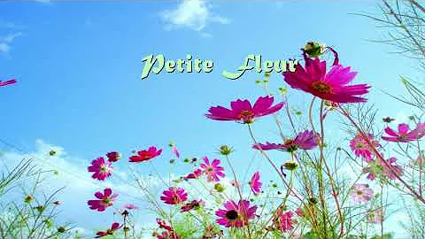Petite Fleur - Alto Saxophone - by Kenny Yu
