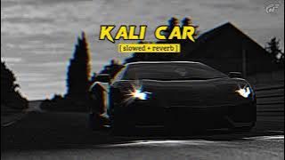 Black Route ( Slowed Reverb ) | Hassan Goldy | Kali Car (Slowed Reverb) | New Punjabi Song 2023|slow