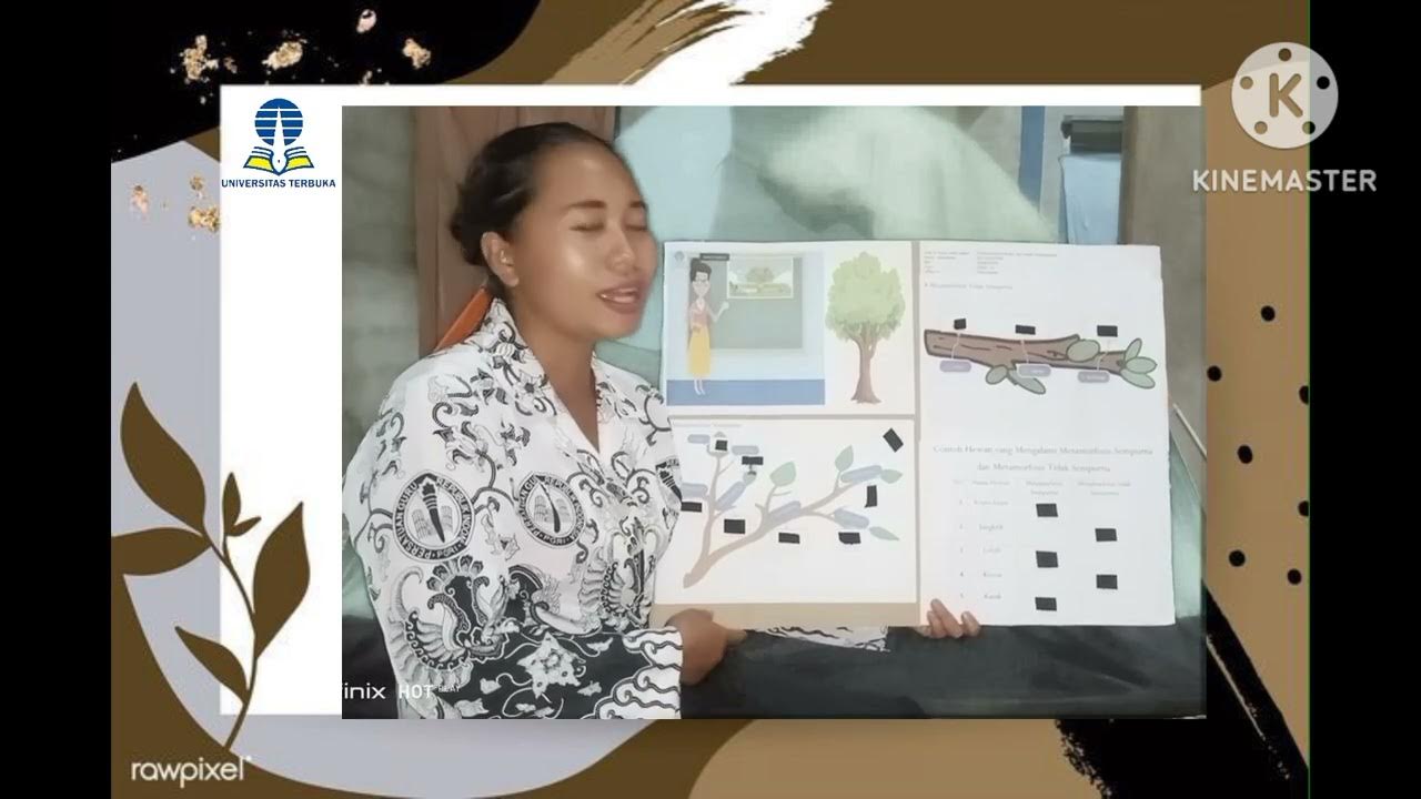 Media pembelajaran poster interaktif dengan materi metamorfosis. YouTube