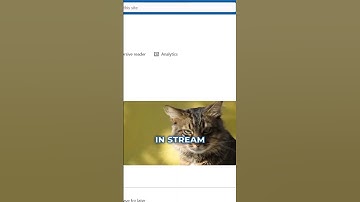 Can you store videos in SharePoint?