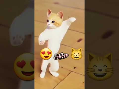 حسب الطلب حنين عمان مصر الجزائر العراق تركيا السعودية امارات
