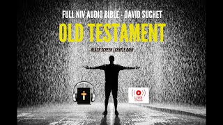 Audio Bible | Gentle Rain | Black Screen - Old Testament 1 of 6 screenshot 5