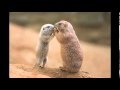 Question one