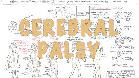 Cerebral Palsy - (DETAILED) Overview