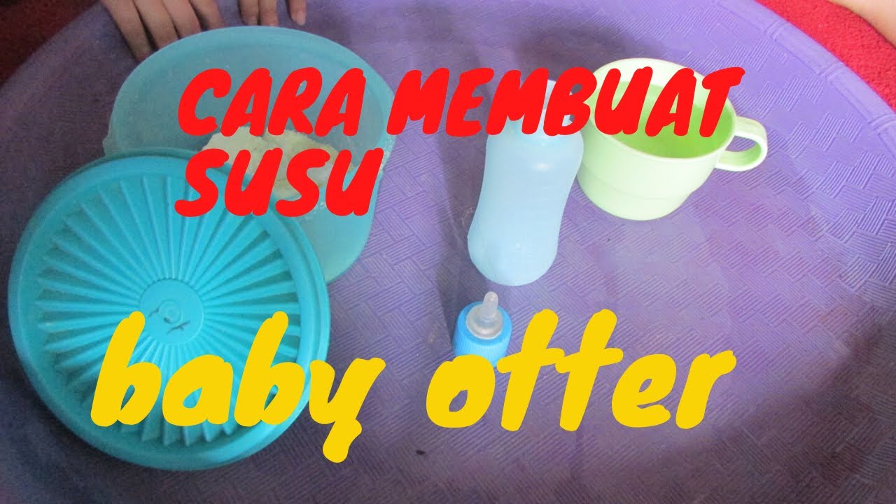 CARA MEMBUAT SUSU BABY OTTER 