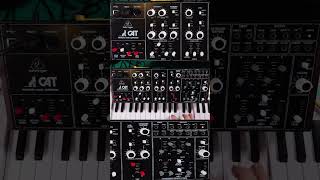 Behringer Octave Cat Recreation: First Look &amp; Issues #shorts